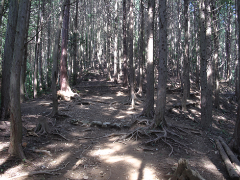 20150929hike (57)